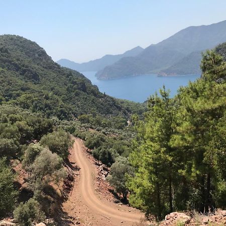 Dalyan Paradise - Haus Sophieヴィラ エクステリア 写真