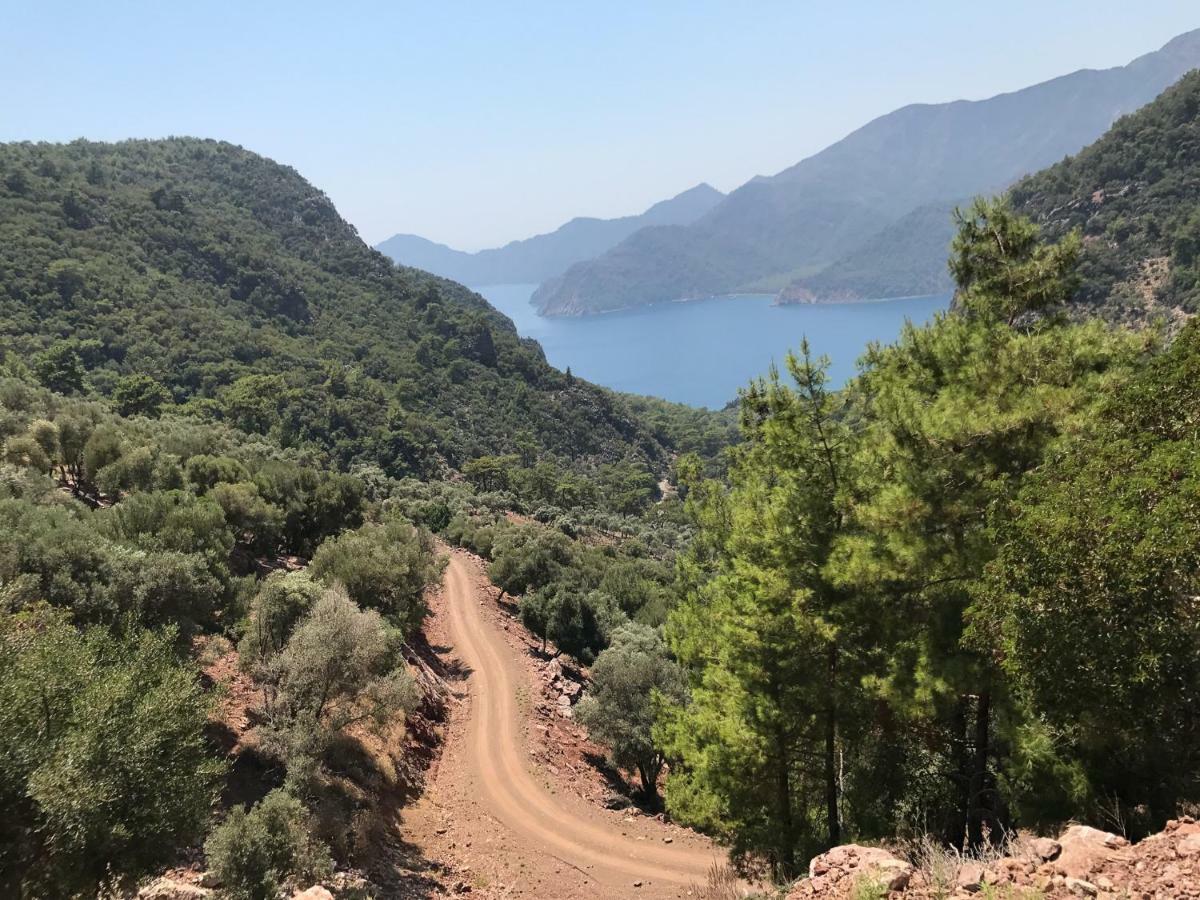 Dalyan Paradise - Haus Sophieヴィラ エクステリア 写真